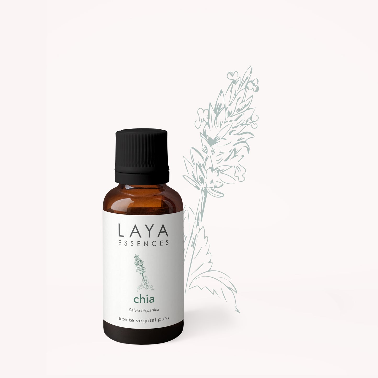 Chia