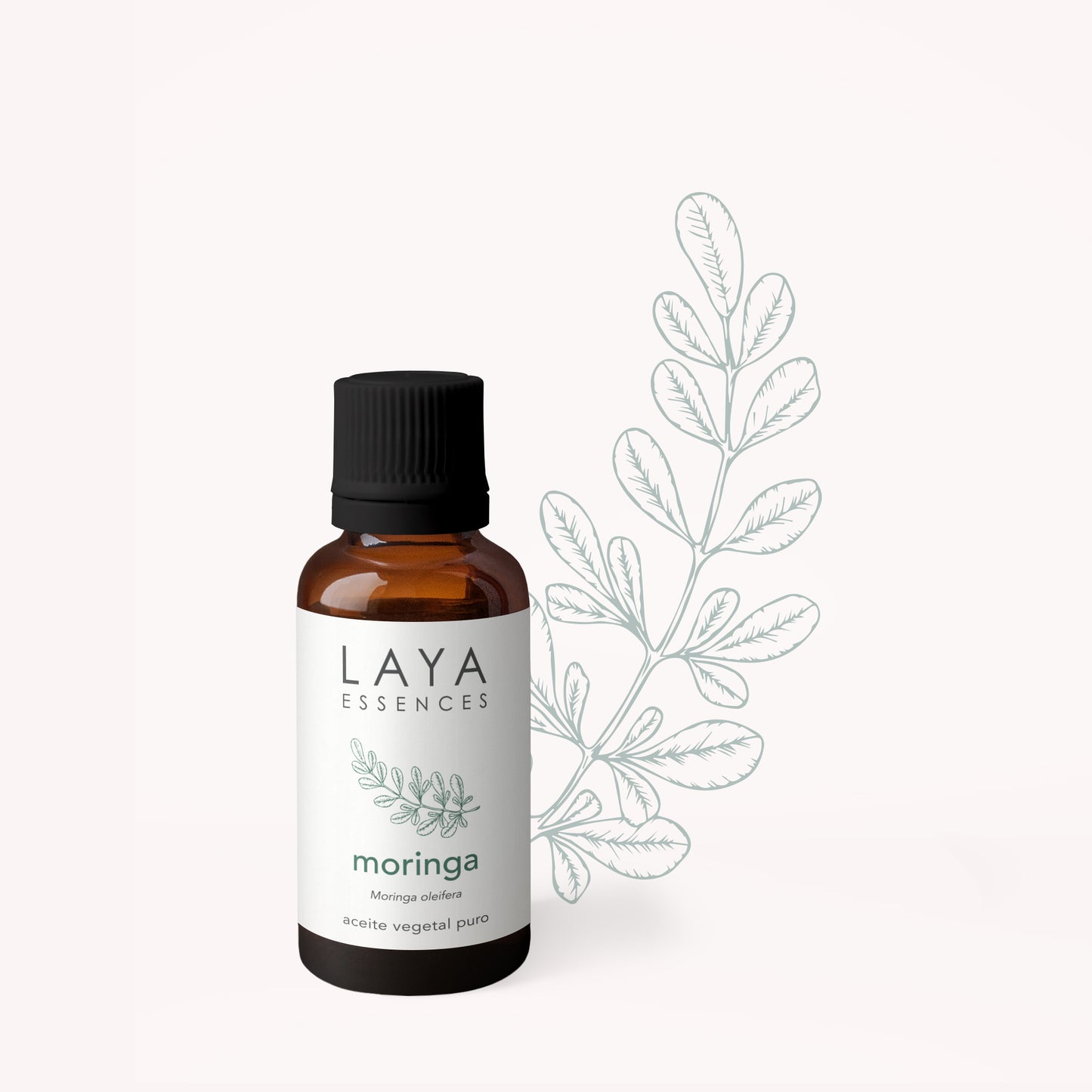 Moringa