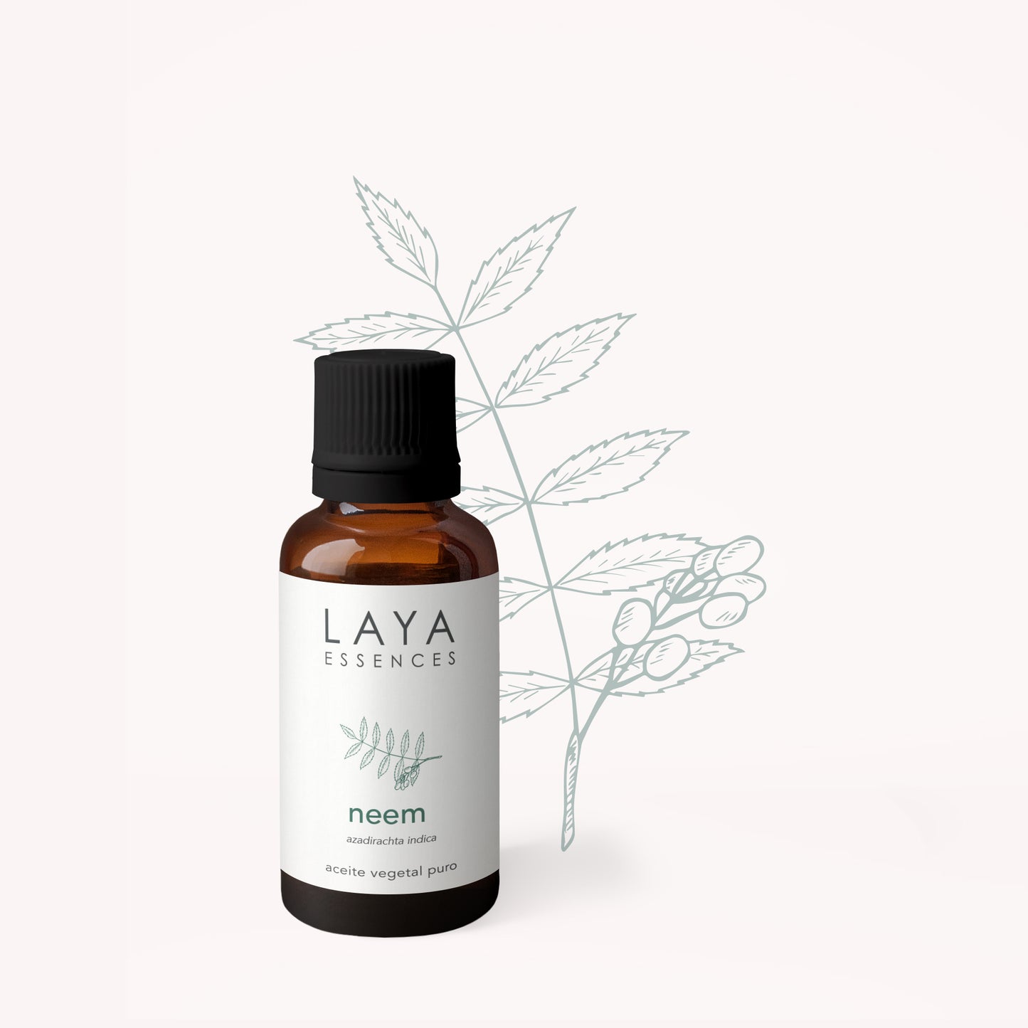 Neem