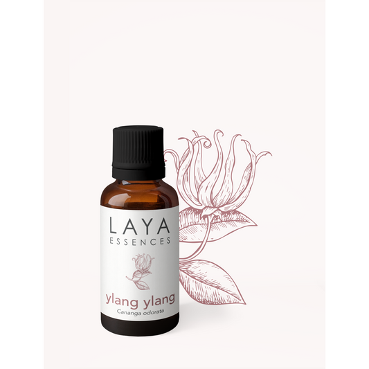 Ylang Ylang