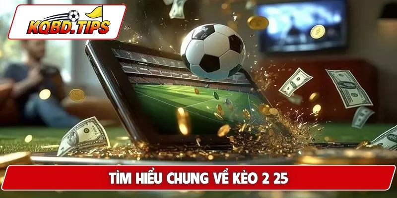 Tìm hiểu chung về kèo 2 25
